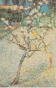 Vincent Van Gogh, Flowering Pear-Tree